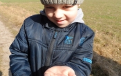 SAM_1781