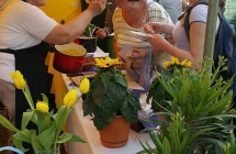 20170514_113651_1495311346825_resized - Kopia