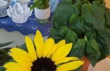 20170514_113743_1495311342866_resized - Kopia