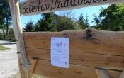 witacz 2