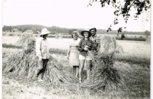 zniwa lata 70
